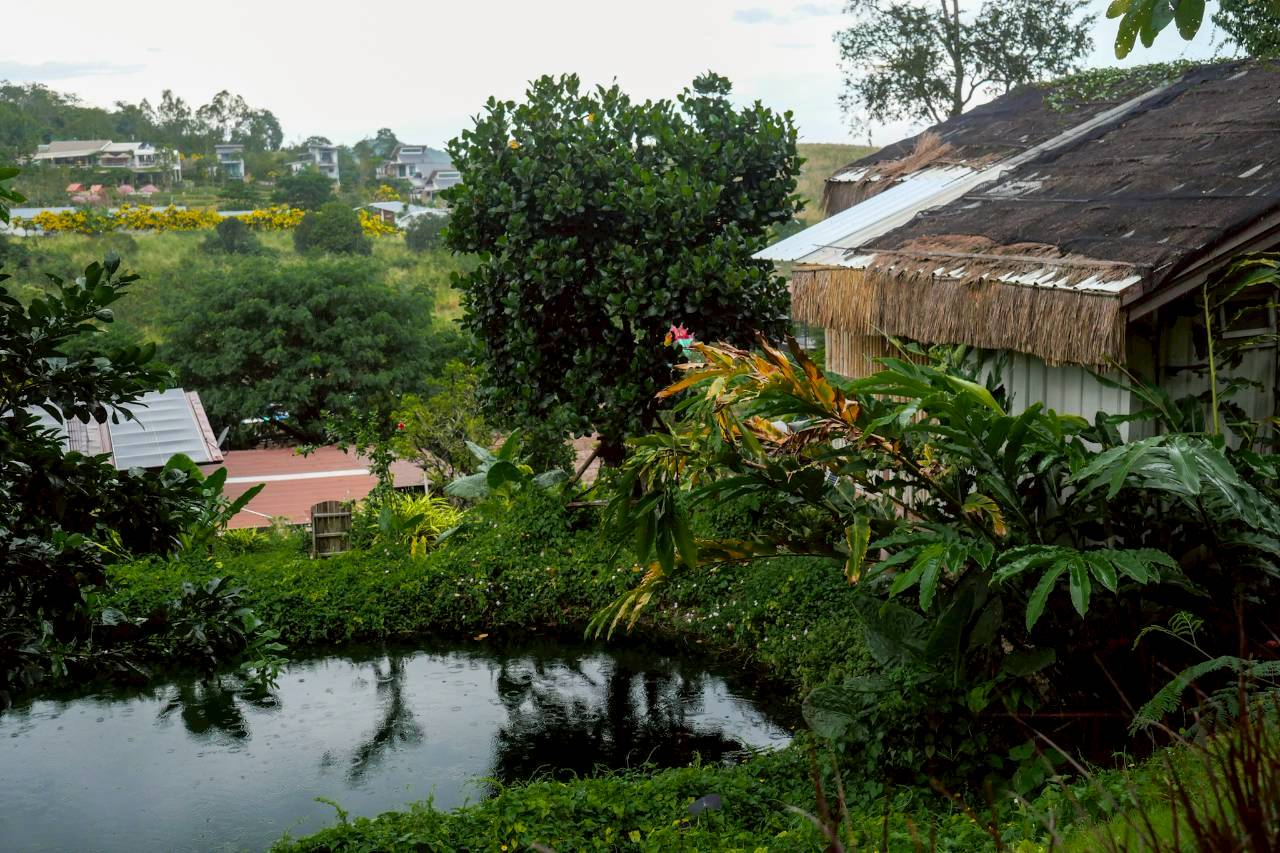 LINE_ALBUM_บ้านไร่โซน A_260125_28