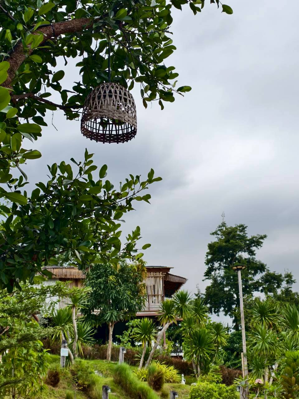 LINE_ALBUM_บ้านไร่โซน A_260125_35