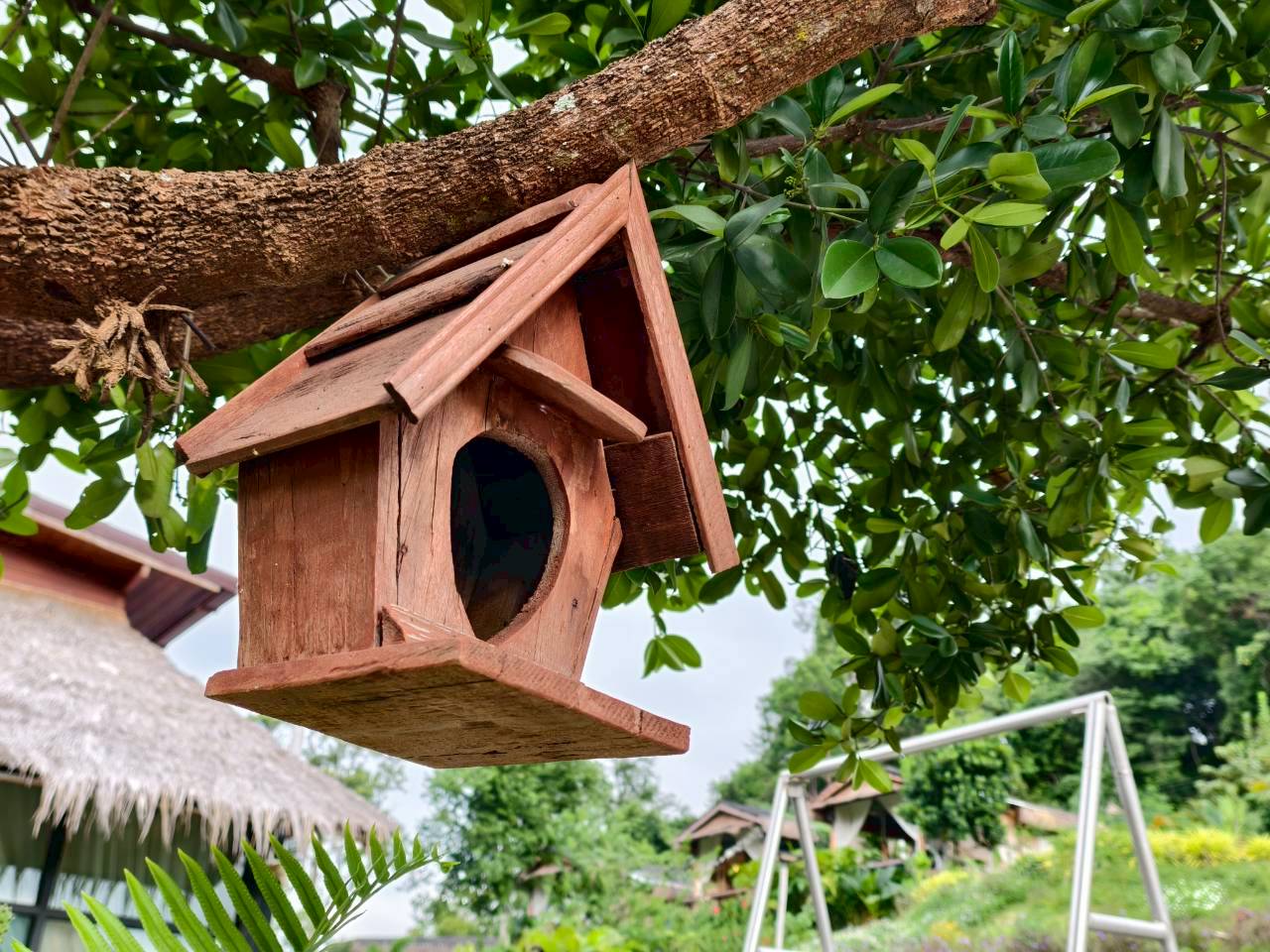 LINE_ALBUM_บ้านไร่โซน A_260125_37