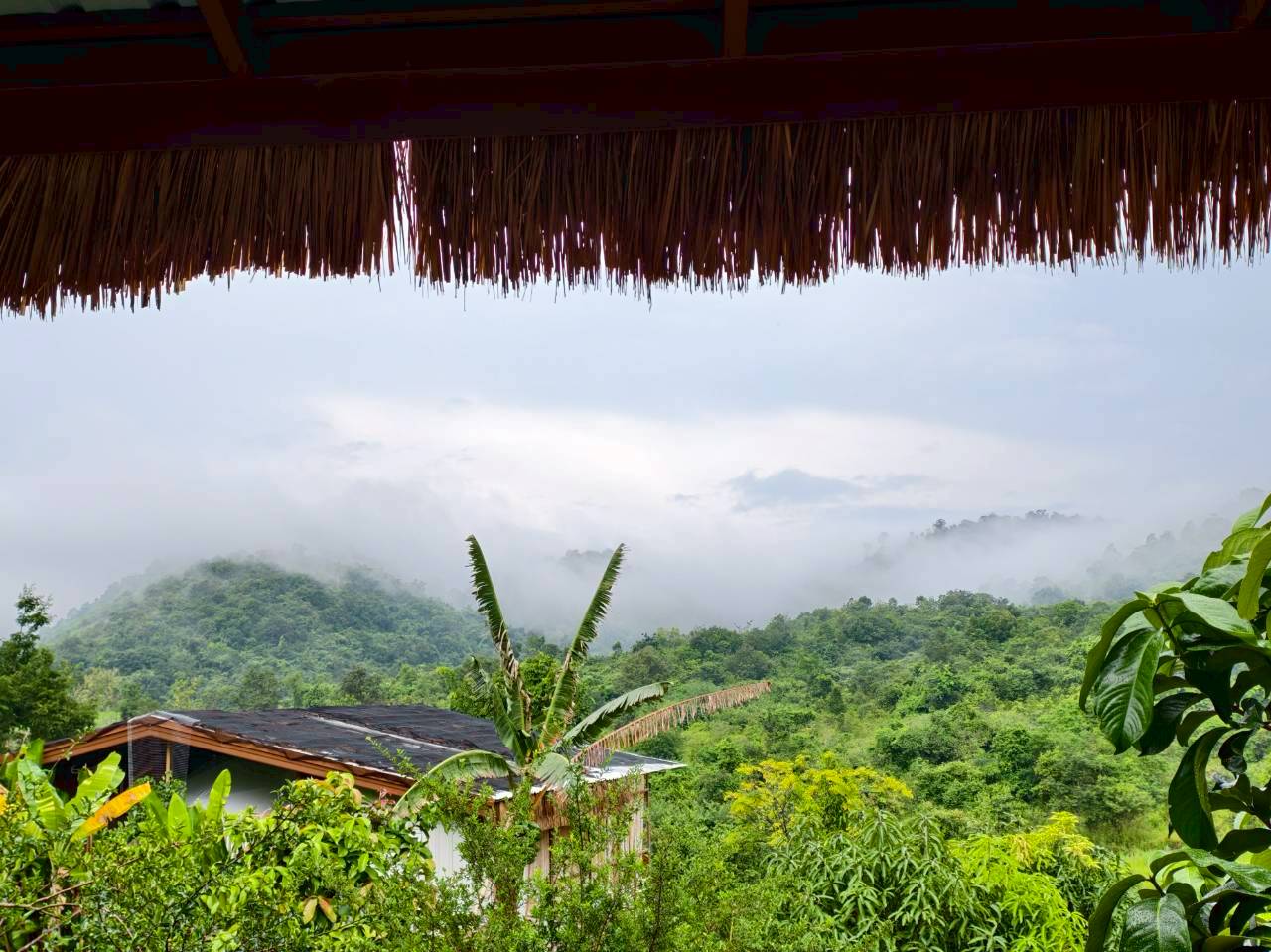 LINE_ALBUM_บ้านไร่โซน A_260125_54