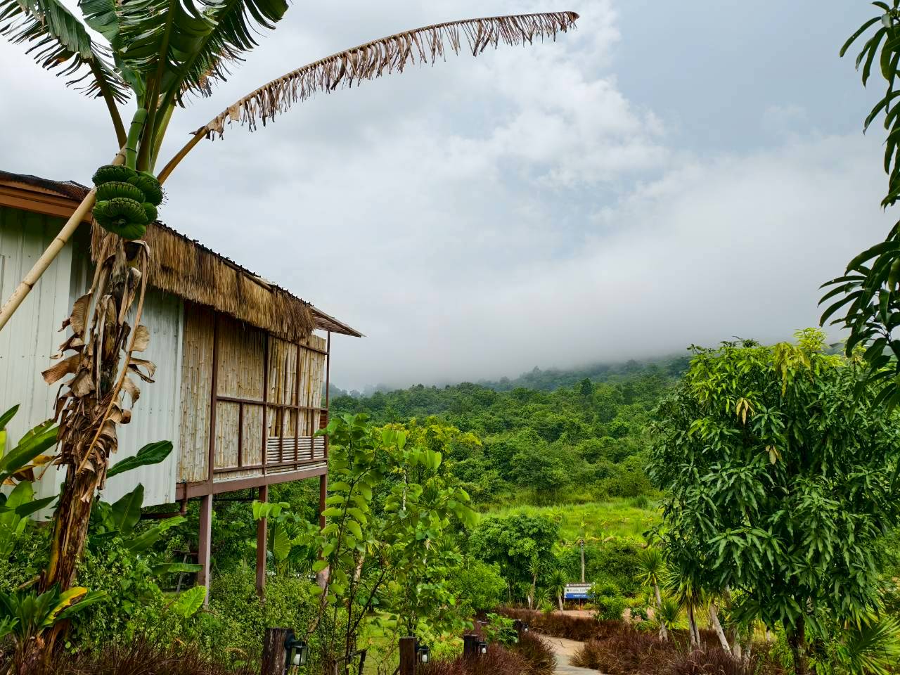 LINE_ALBUM_บ้านไร่โซน A_260125_55