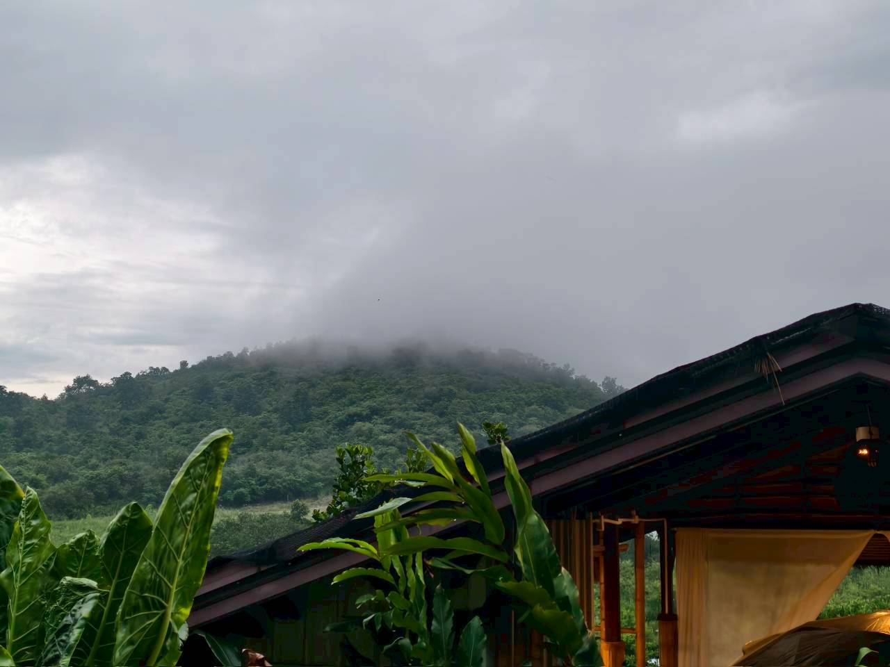 LINE_ALBUM_บ้านไร่โซน A_260125_59