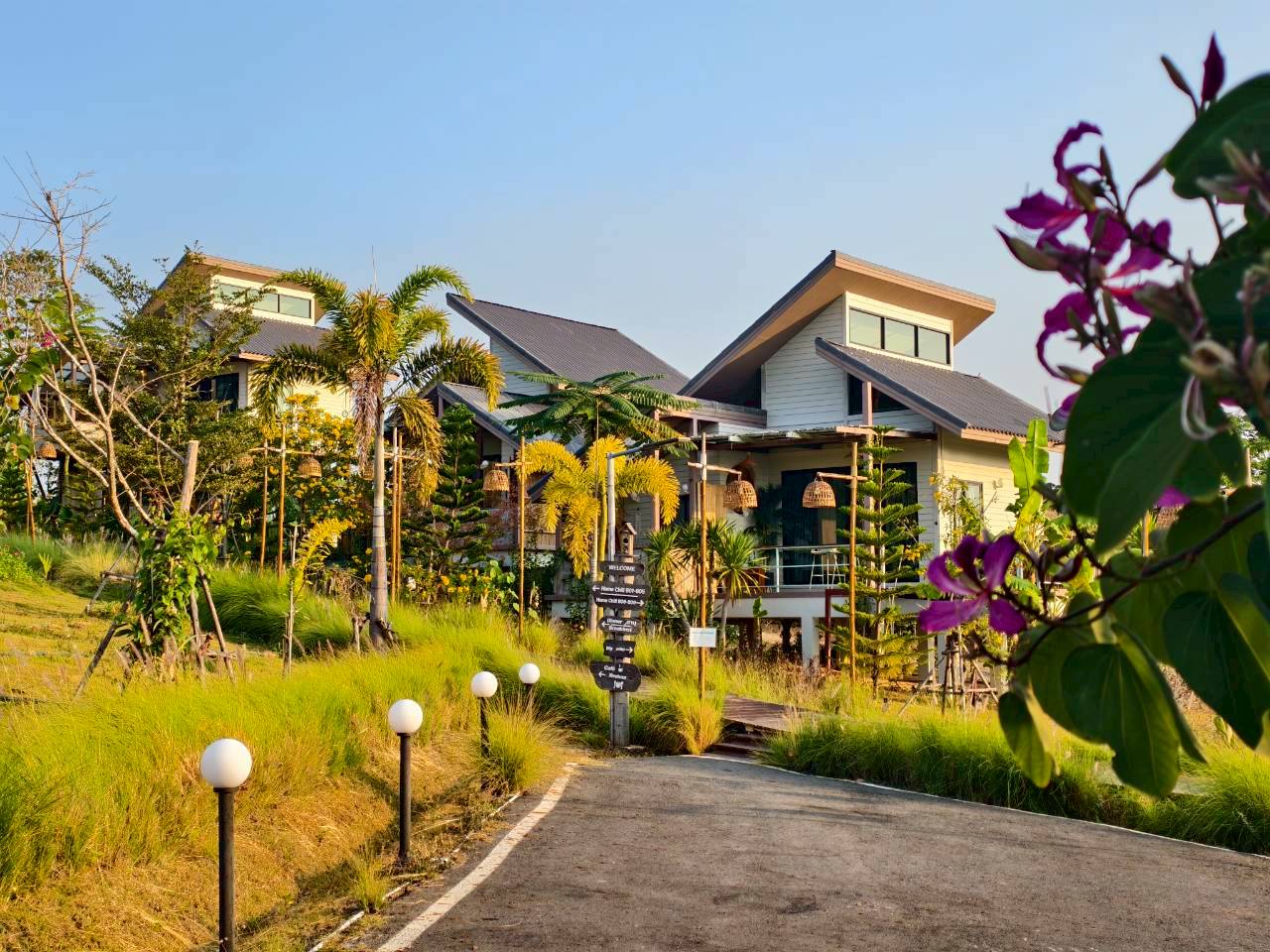 LINE_ALBUM_บ้านไร่โซน B_260125_1