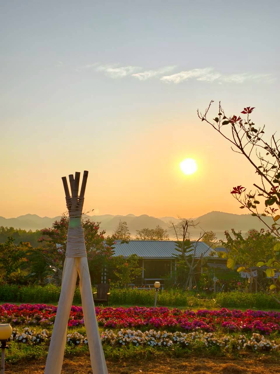 LINE_ALBUM_บ้านไร่โซน B_260125_10