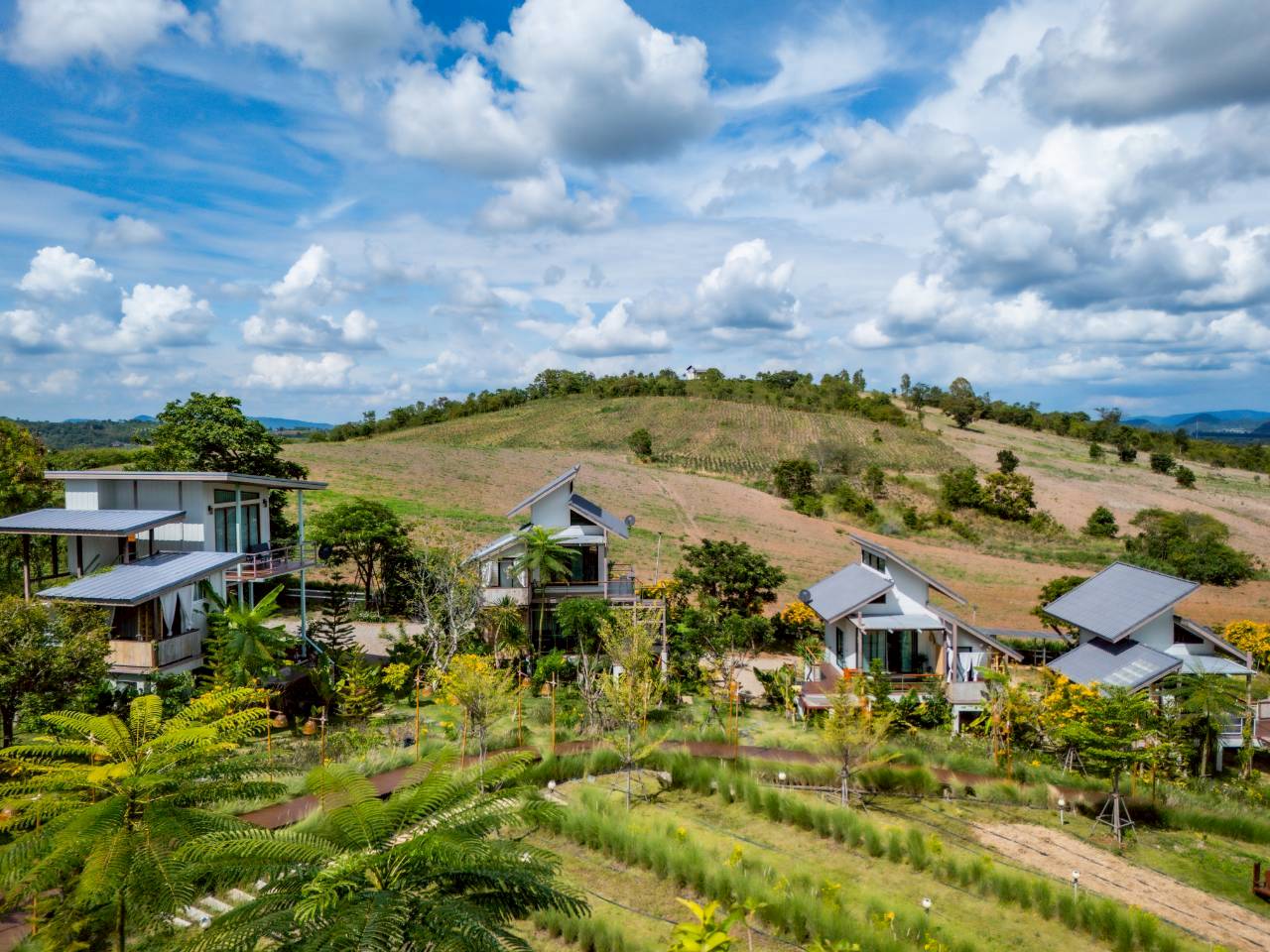 LINE_ALBUM_บ้านไร่โซน B_260125_102