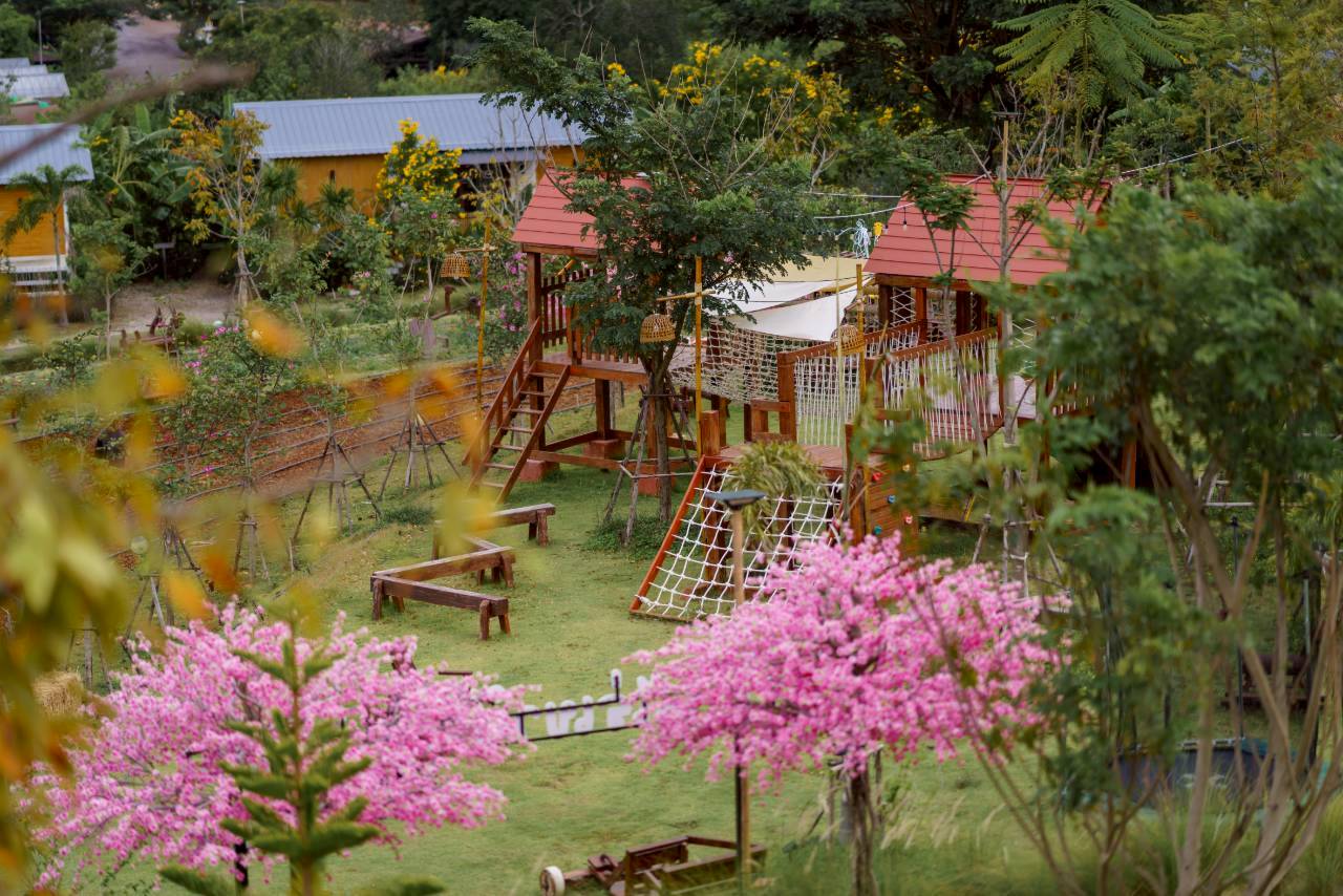 LINE_ALBUM_บ้านไร่โซน B_260125_106