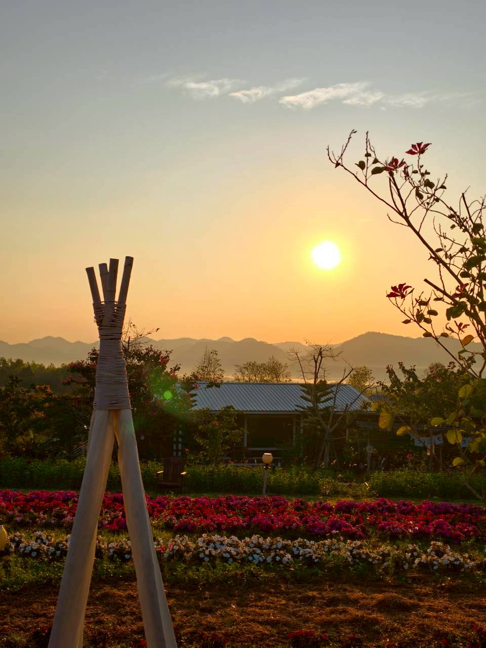 LINE_ALBUM_บ้านไร่โซน B_260125_11