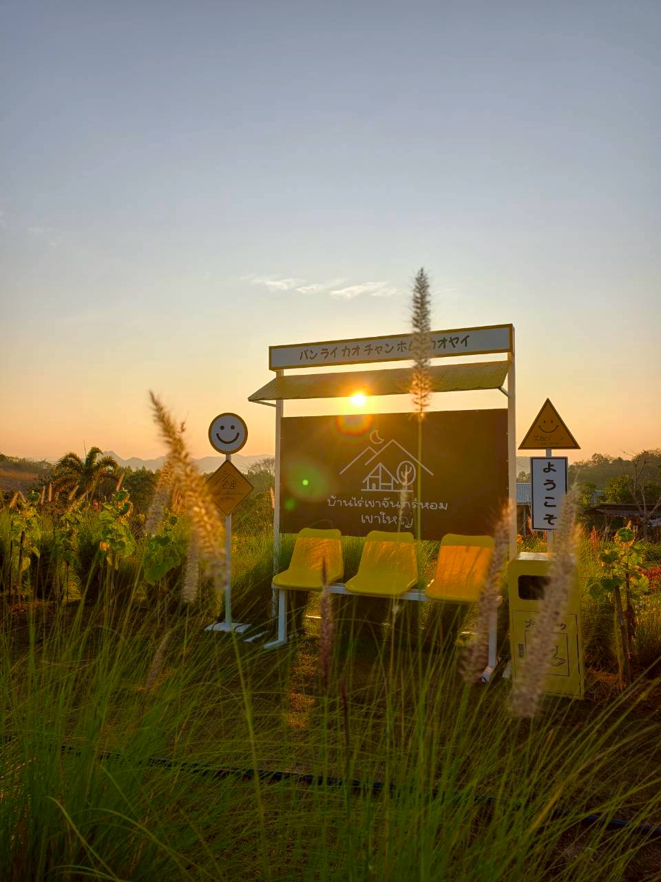 LINE_ALBUM_บ้านไร่โซน B_260125_12