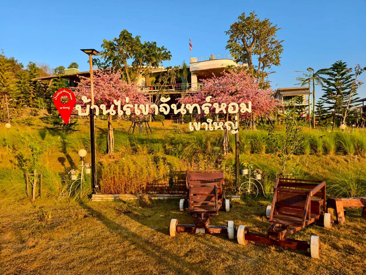 LINE_ALBUM_บ้านไร่โซน B_260125_13