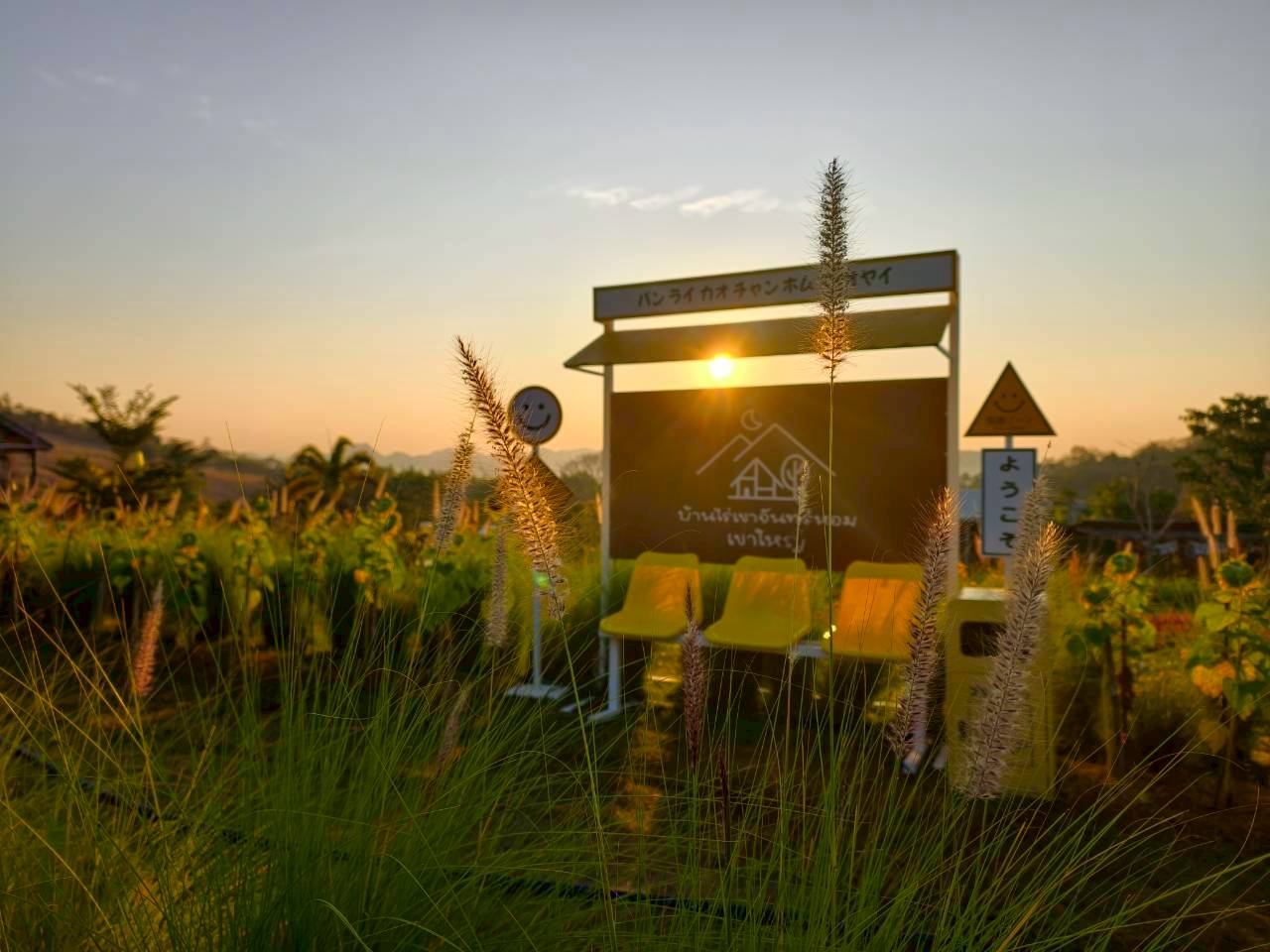 LINE_ALBUM_บ้านไร่โซน B_260125_14