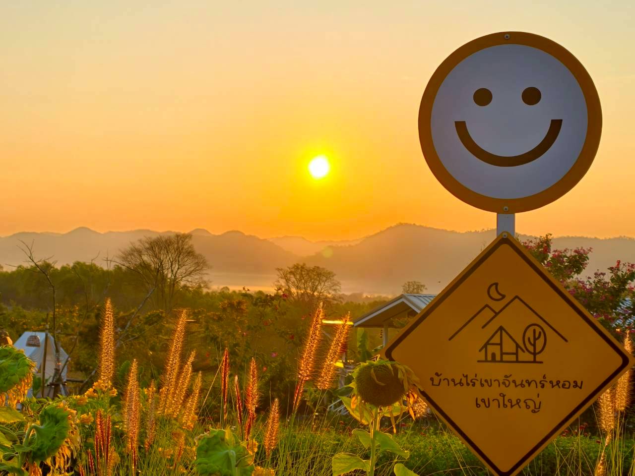 LINE_ALBUM_บ้านไร่โซน B_260125_15