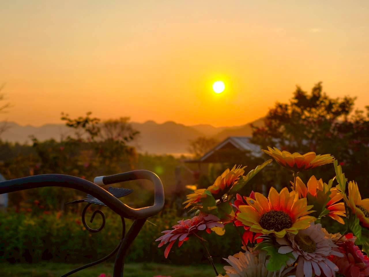 LINE_ALBUM_บ้านไร่โซน B_260125_16