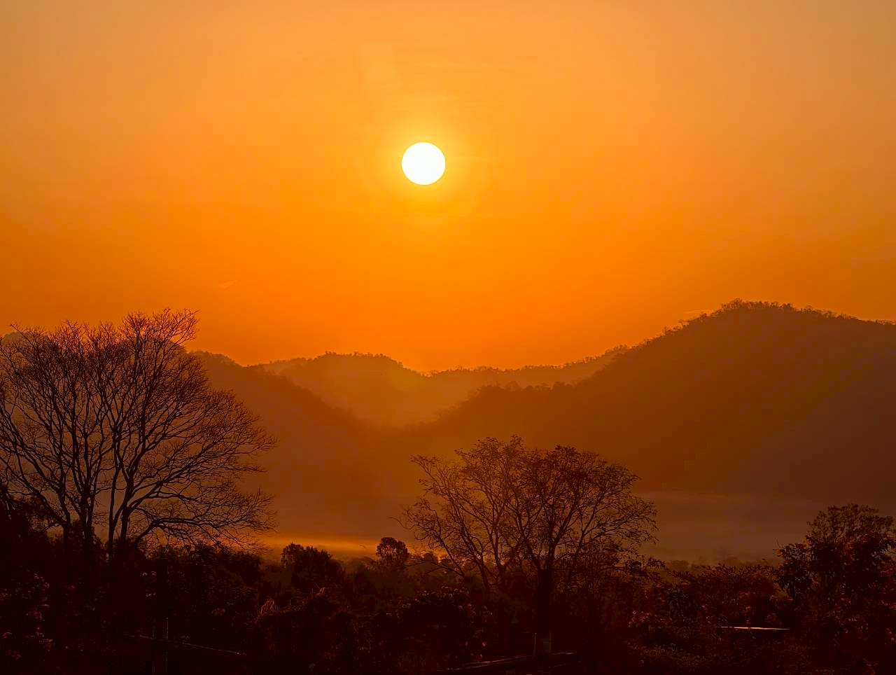 LINE_ALBUM_บ้านไร่โซน B_260125_17