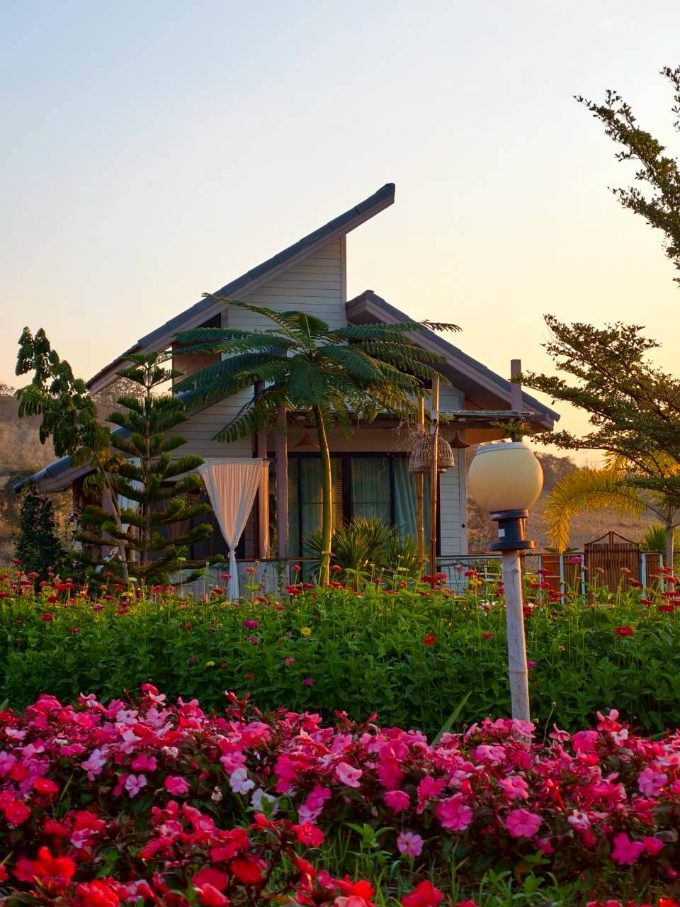 LINE_ALBUM_บ้านไร่โซน B_260125_18