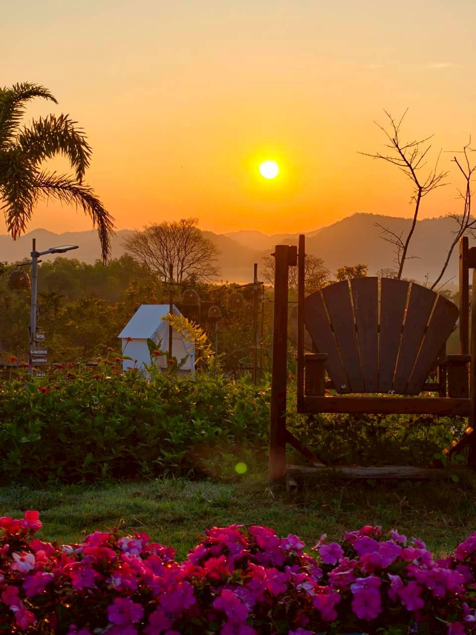 LINE_ALBUM_บ้านไร่โซน B_260125_19