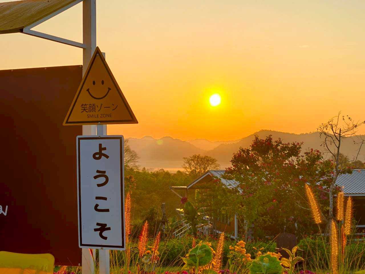 LINE_ALBUM_บ้านไร่โซน B_260125_20