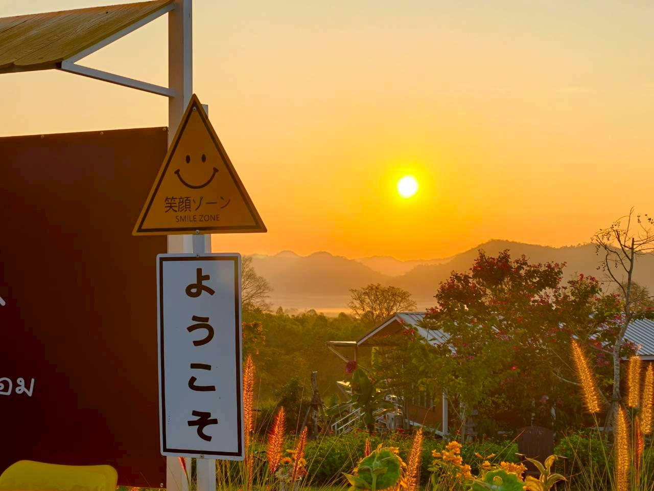 LINE_ALBUM_บ้านไร่โซน B_260125_21