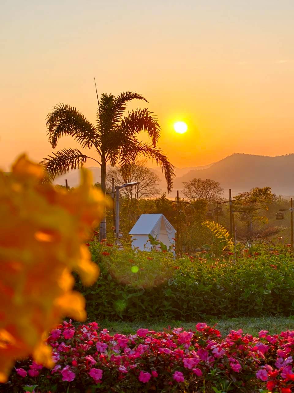 LINE_ALBUM_บ้านไร่โซน B_260125_22