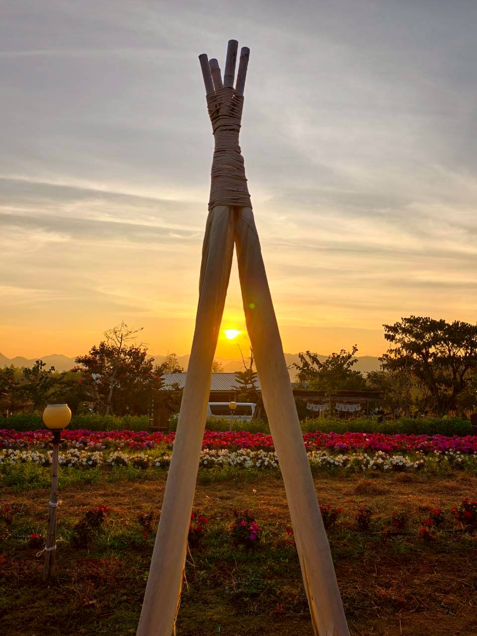 LINE_ALBUM_บ้านไร่โซน B_260125_25