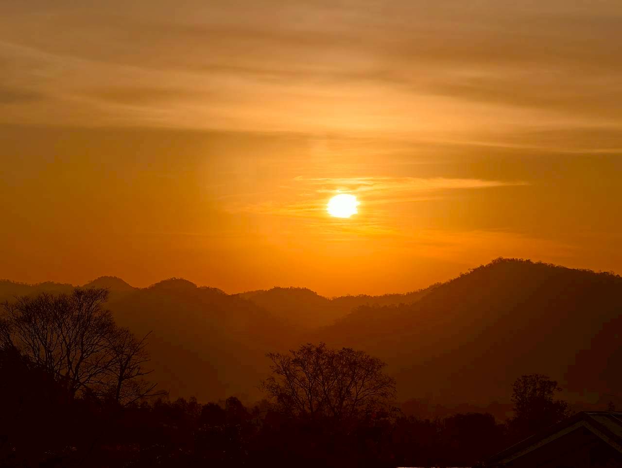 LINE_ALBUM_บ้านไร่โซน B_260125_28