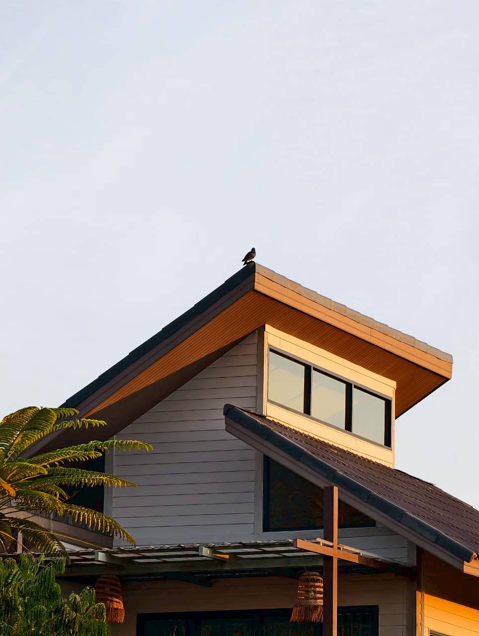 LINE_ALBUM_บ้านไร่โซน B_260125_29