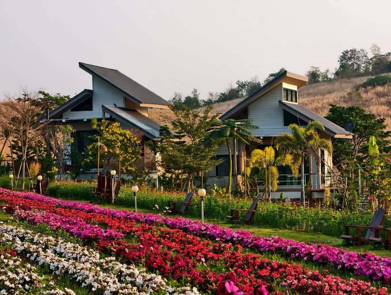 LINE_ALBUM_บ้านไร่โซน B_260125_3