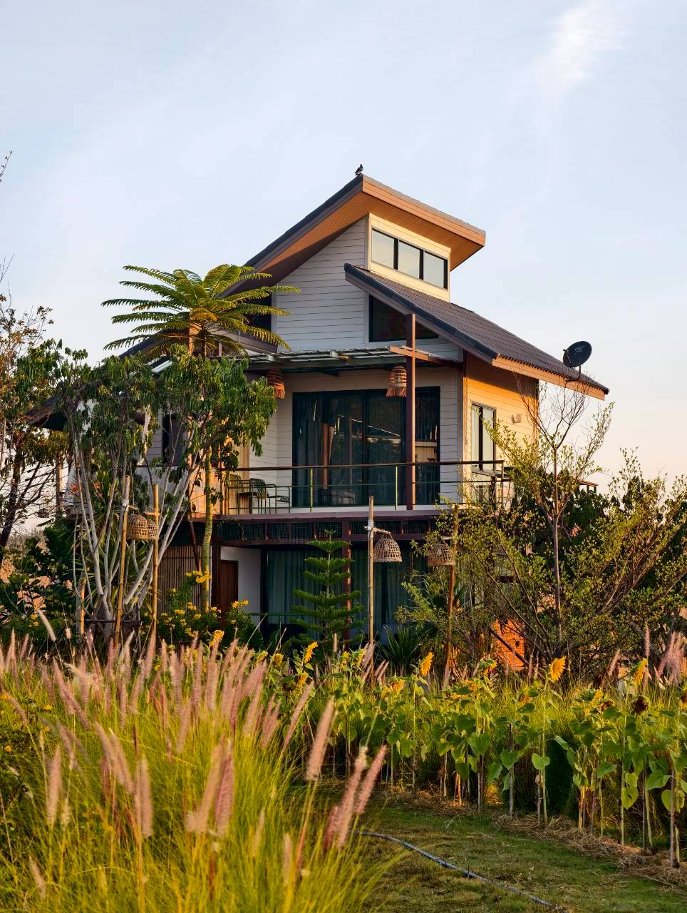 LINE_ALBUM_บ้านไร่โซน B_260125_30