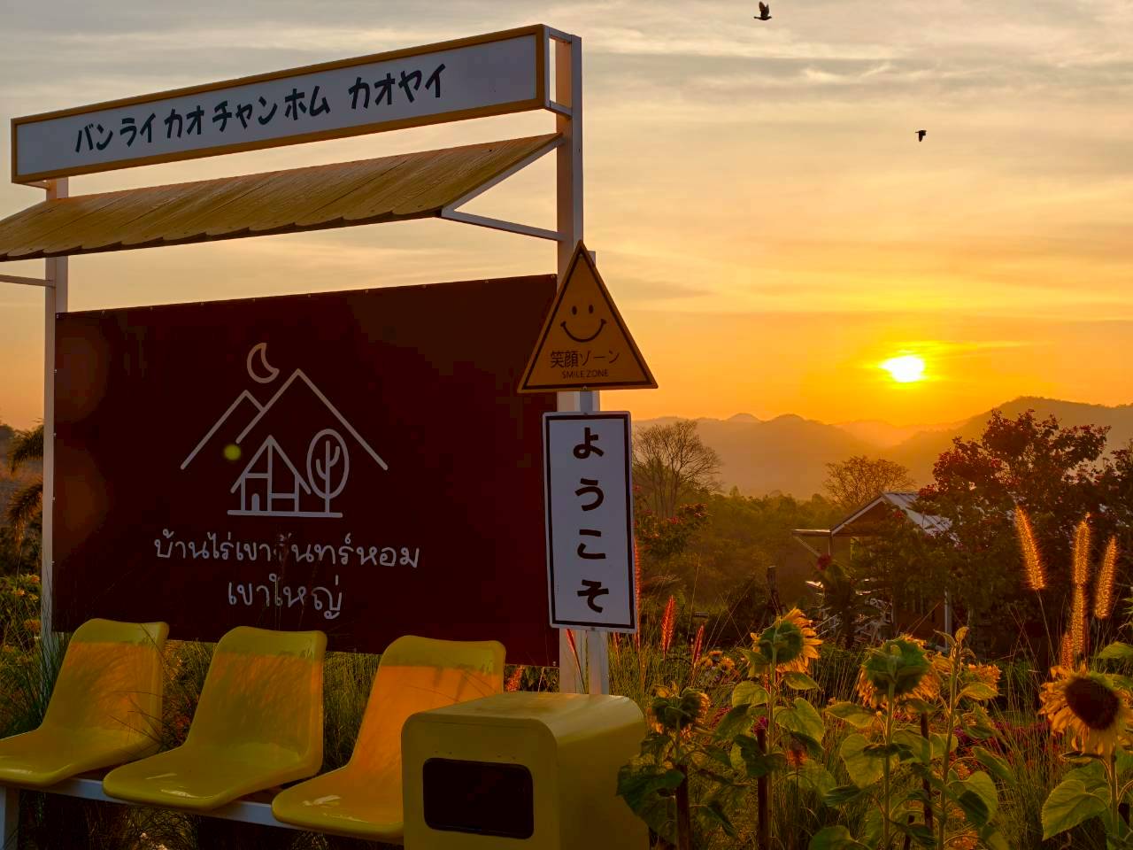 LINE_ALBUM_บ้านไร่โซน B_260125_32