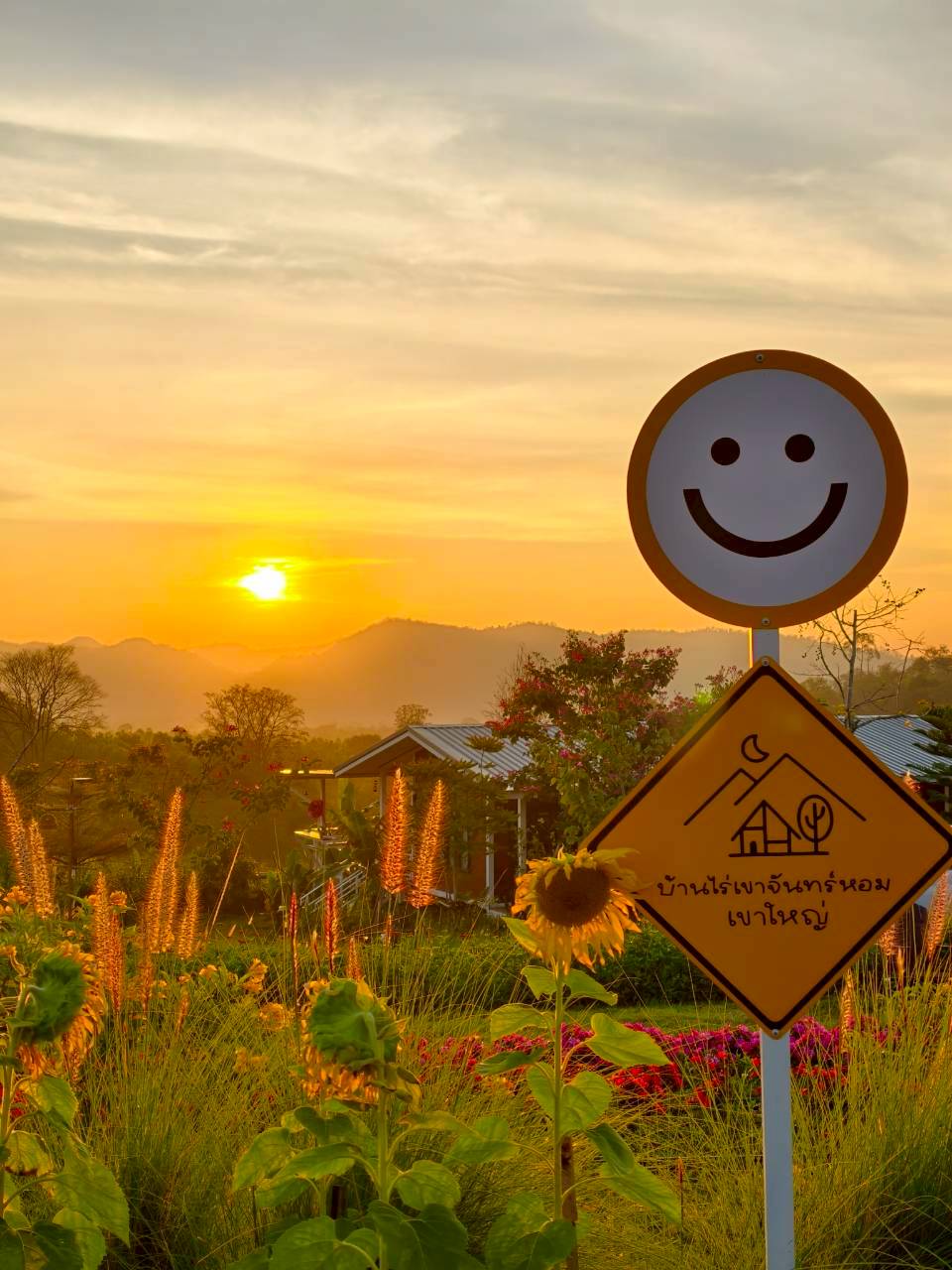 LINE_ALBUM_บ้านไร่โซน B_260125_33