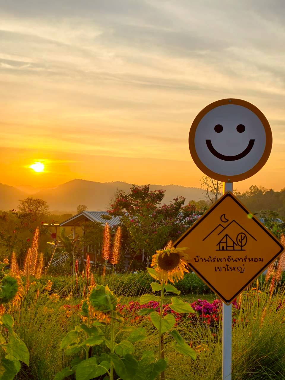 LINE_ALBUM_บ้านไร่โซน B_260125_34