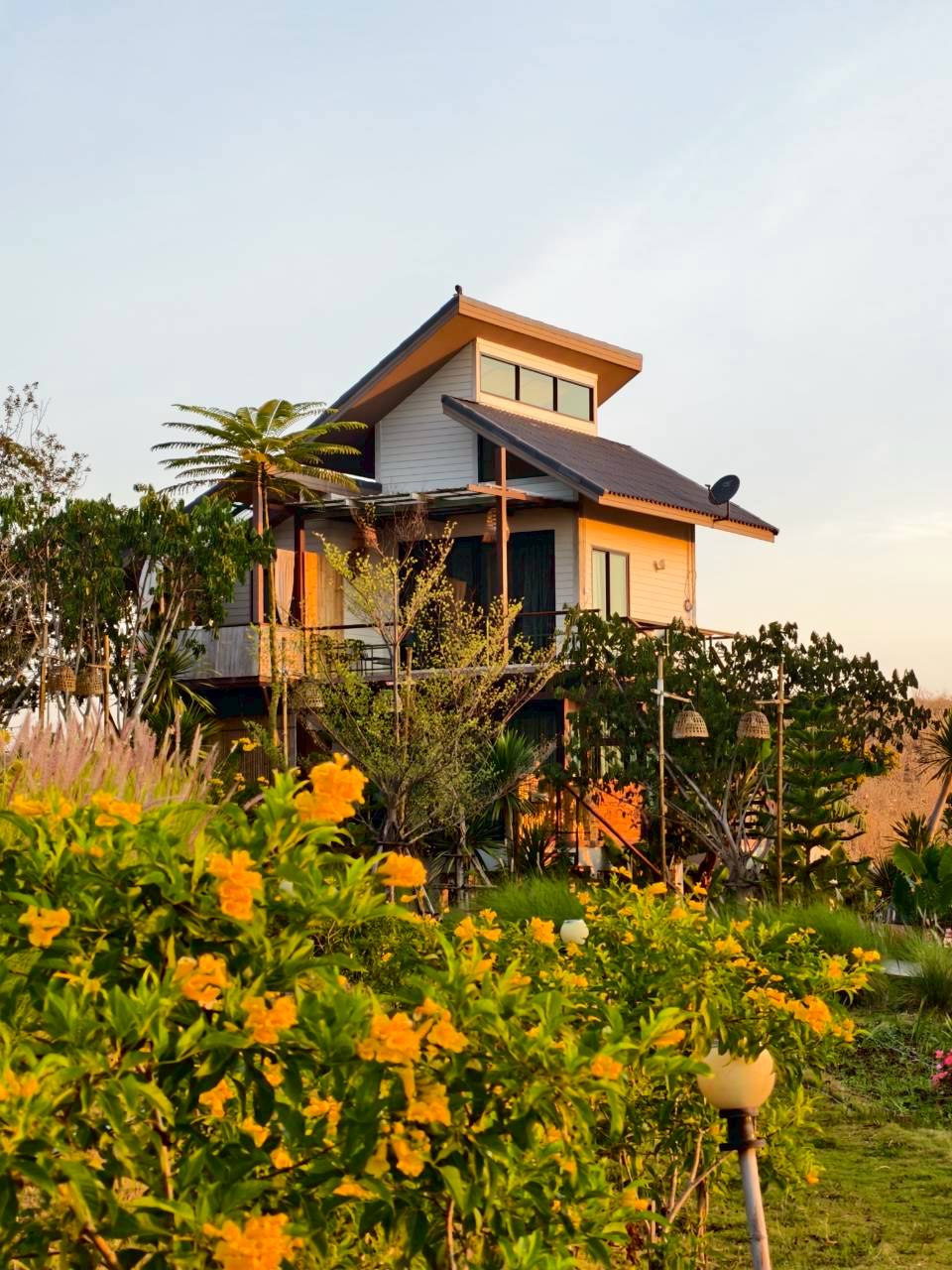 LINE_ALBUM_บ้านไร่โซน B_260125_35