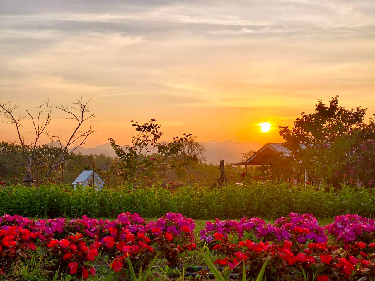 LINE_ALBUM_บ้านไร่โซน B_260125_36