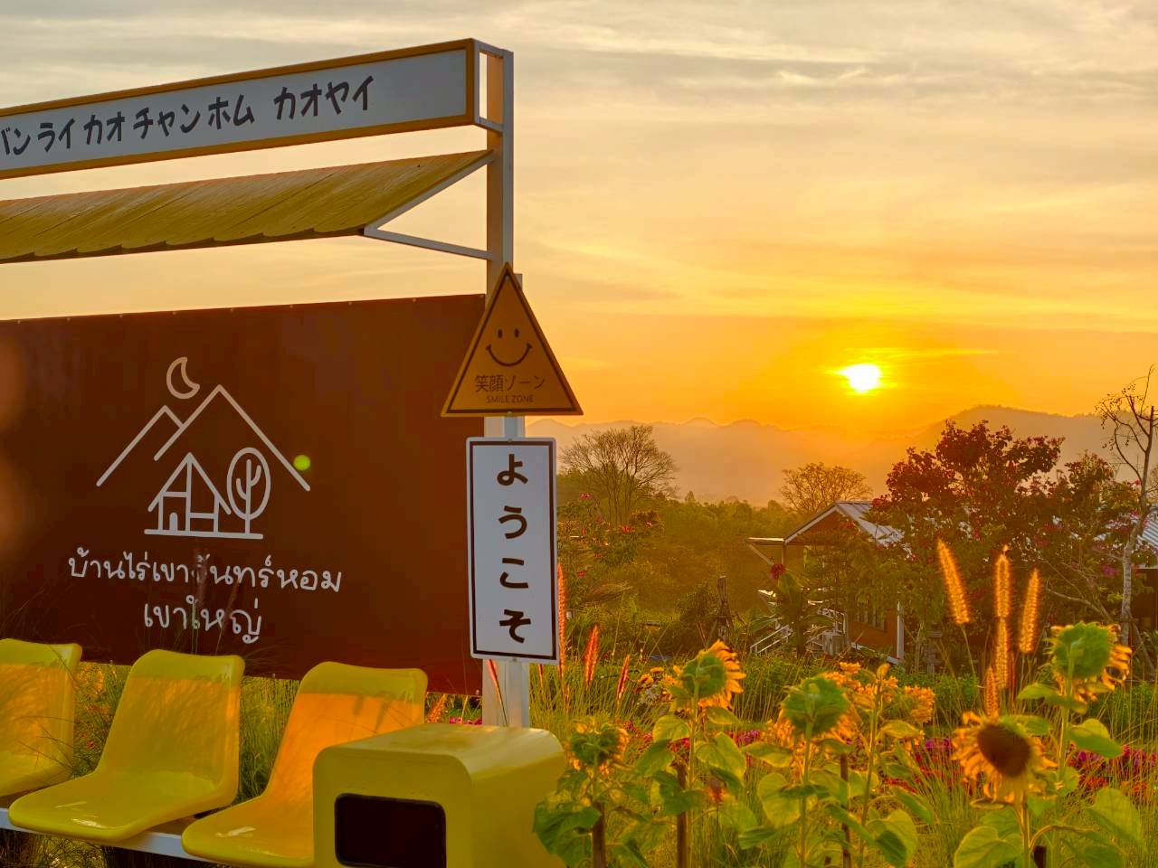 LINE_ALBUM_บ้านไร่โซน B_260125_38