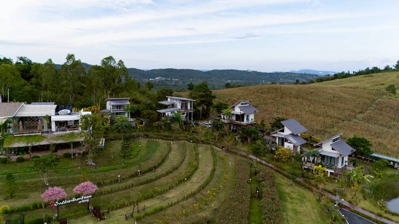 LINE_ALBUM_บ้านไร่โซน B_260125_39