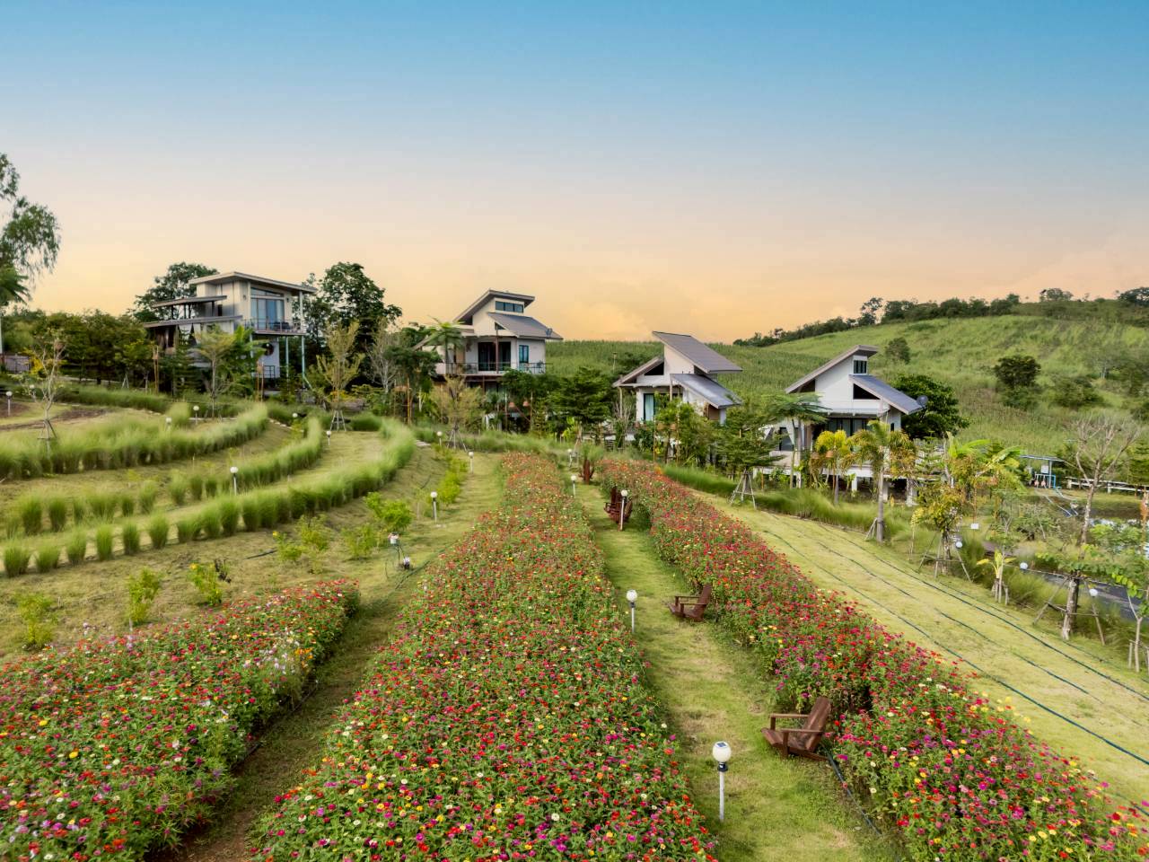 LINE_ALBUM_บ้านไร่โซน B_260125_40