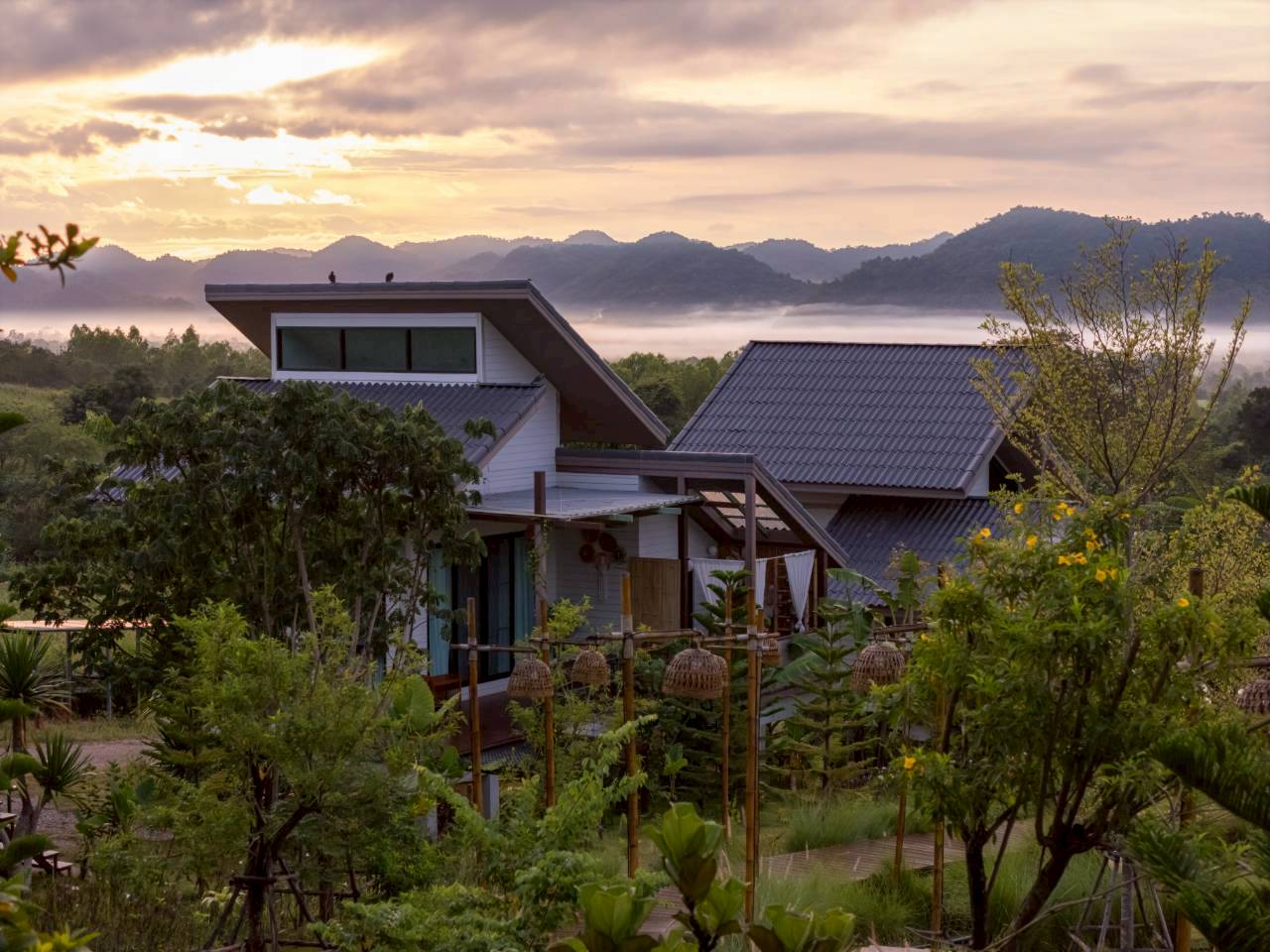 LINE_ALBUM_บ้านไร่โซน B_260125_41