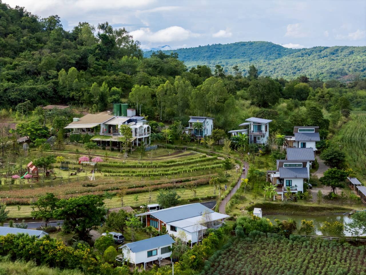 LINE_ALBUM_บ้านไร่โซน B_260125_43