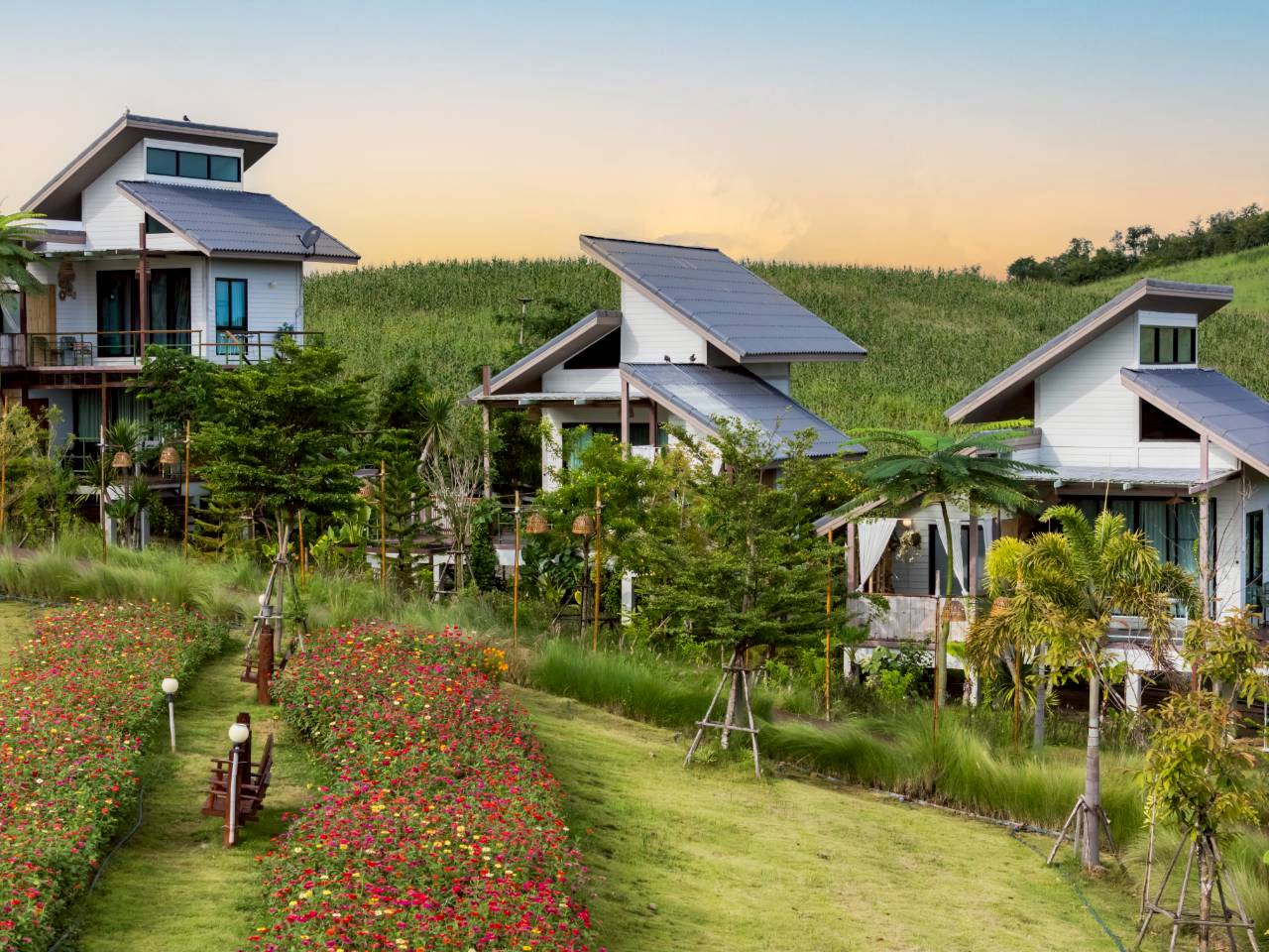 LINE_ALBUM_บ้านไร่โซน B_260125_47