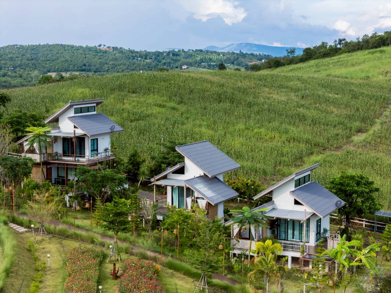 LINE_ALBUM_บ้านไร่โซน B_260125_49