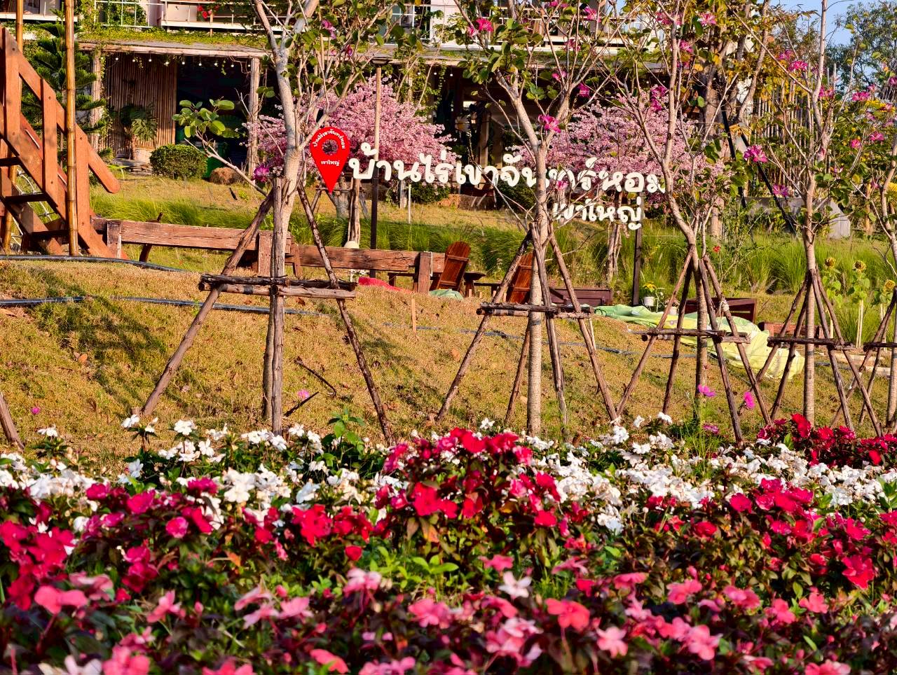 LINE_ALBUM_บ้านไร่โซน B_260125_5