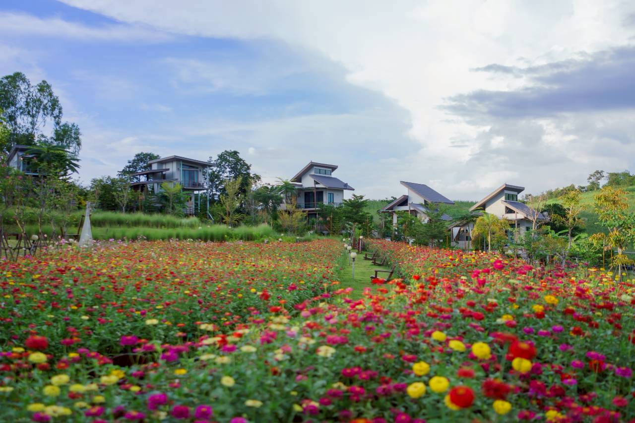 LINE_ALBUM_บ้านไร่โซน B_260125_51