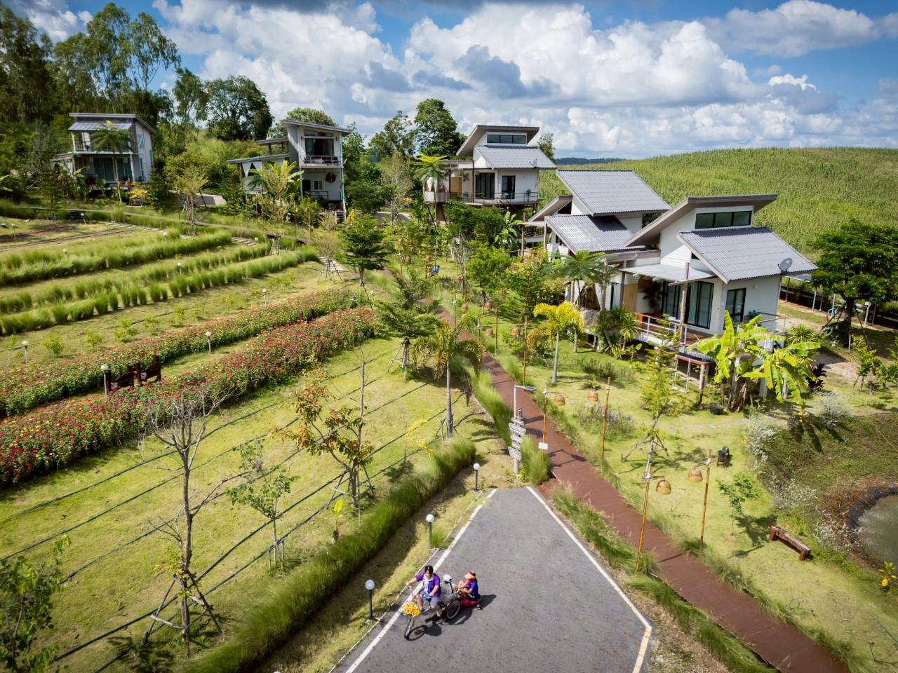 LINE_ALBUM_บ้านไร่โซน B_260125_55