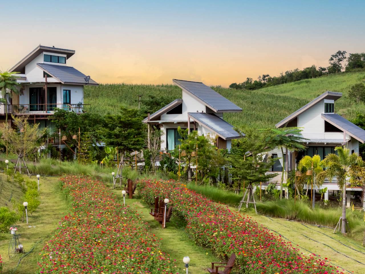 LINE_ALBUM_บ้านไร่โซน B_260125_57