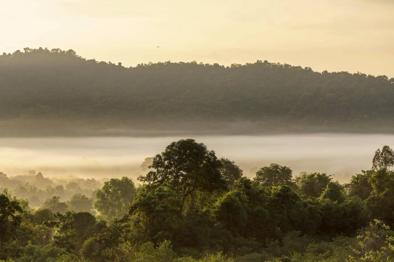 LINE_ALBUM_บ้านไร่โซน B_260125_58