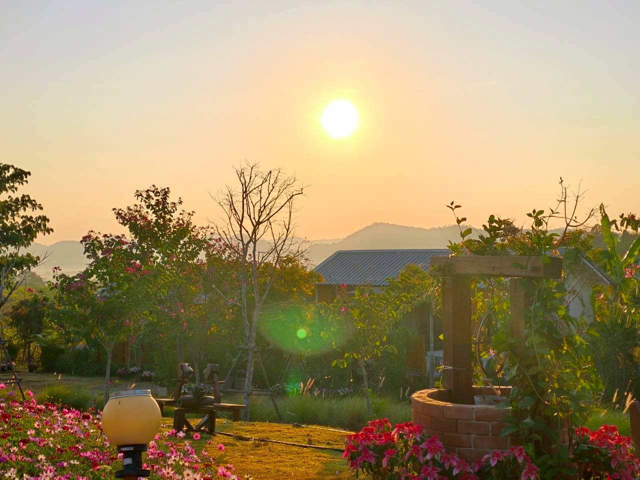 LINE_ALBUM_บ้านไร่โซน B_260125_6