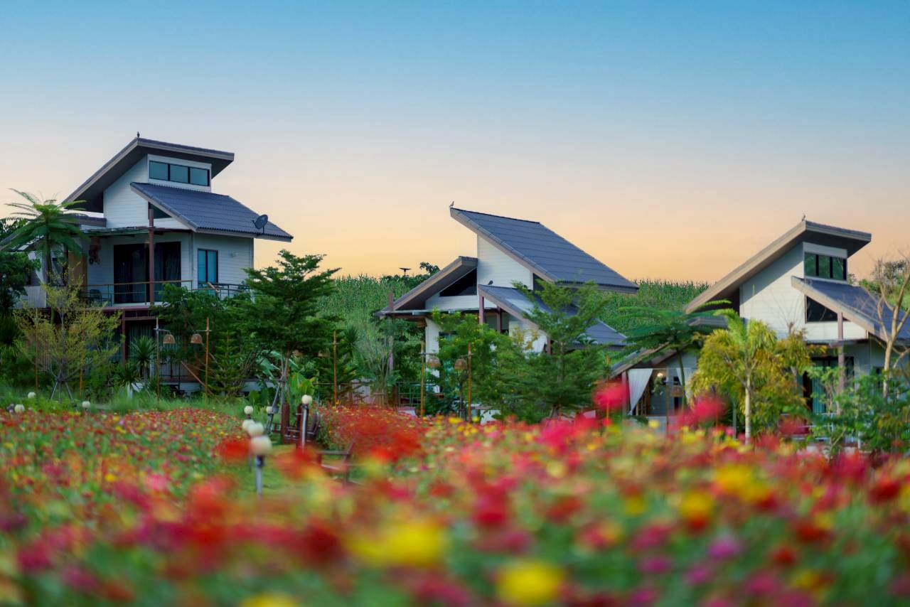 LINE_ALBUM_บ้านไร่โซน B_260125_64