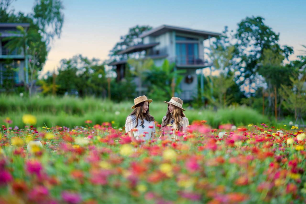 LINE_ALBUM_บ้านไร่โซน B_260125_66