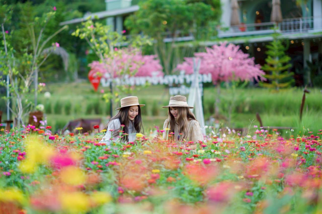 LINE_ALBUM_บ้านไร่โซน B_260125_68