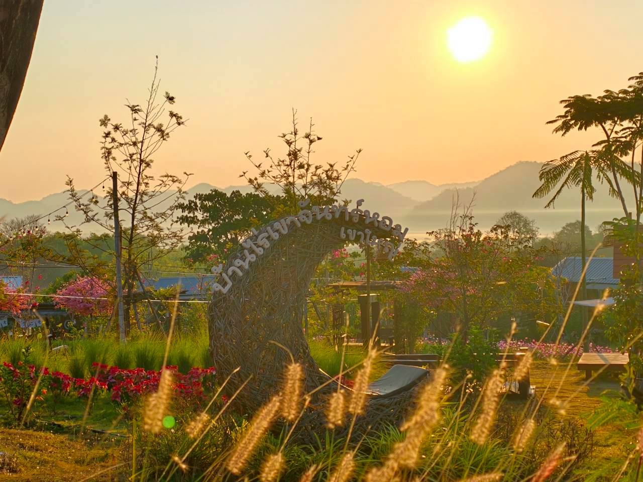 LINE_ALBUM_บ้านไร่โซน B_260125_7