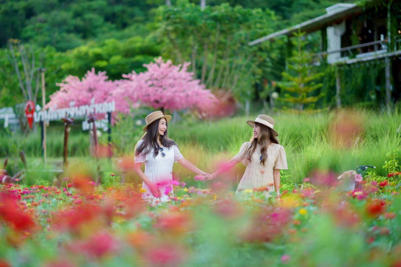 LINE_ALBUM_บ้านไร่โซน B_260125_70